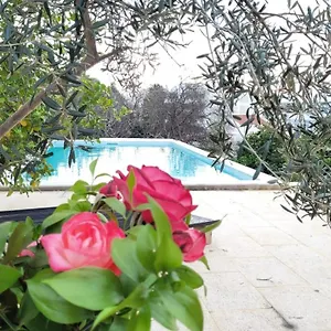 La Casa D'olhao Villa